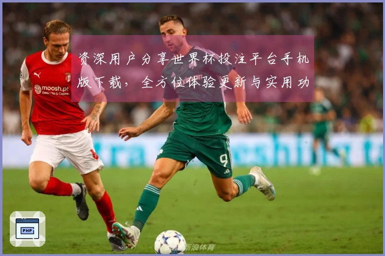 资深用户分享世界杯投注平台手机版下载，全方位体验更新与实用功能