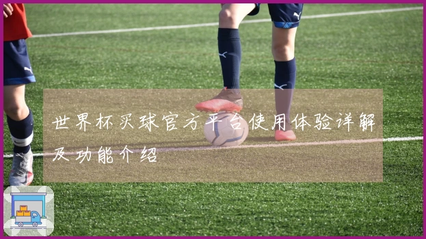 世界杯买球官方平台使用体验详解及功能介绍