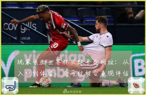 玩家亲测世界杯买球平台网址:从入口到体验,全方位综合表现评估