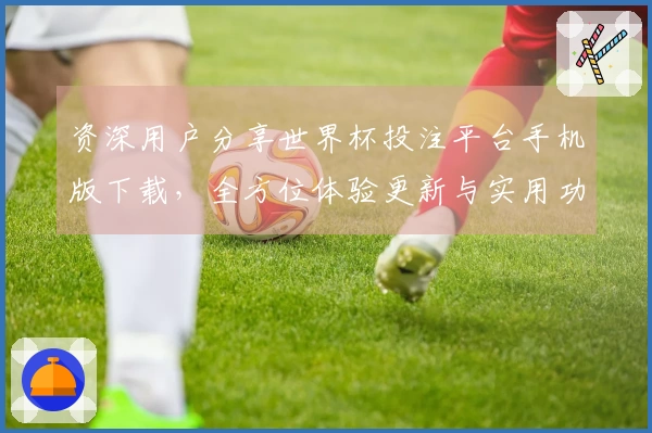 资深用户分享世界杯投注平台手机版下载,全方位体验更新与实用功能